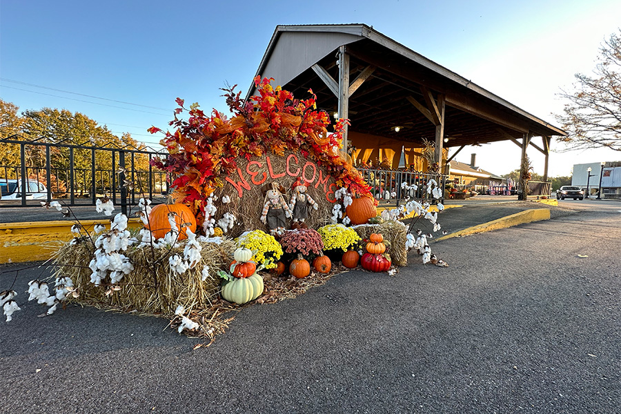 Events in Newbern, TN